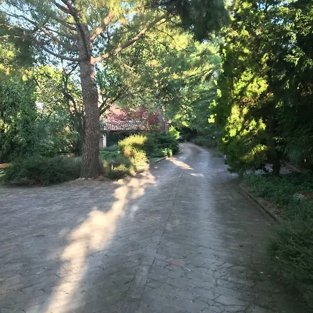 Bed and breakfast Valentini